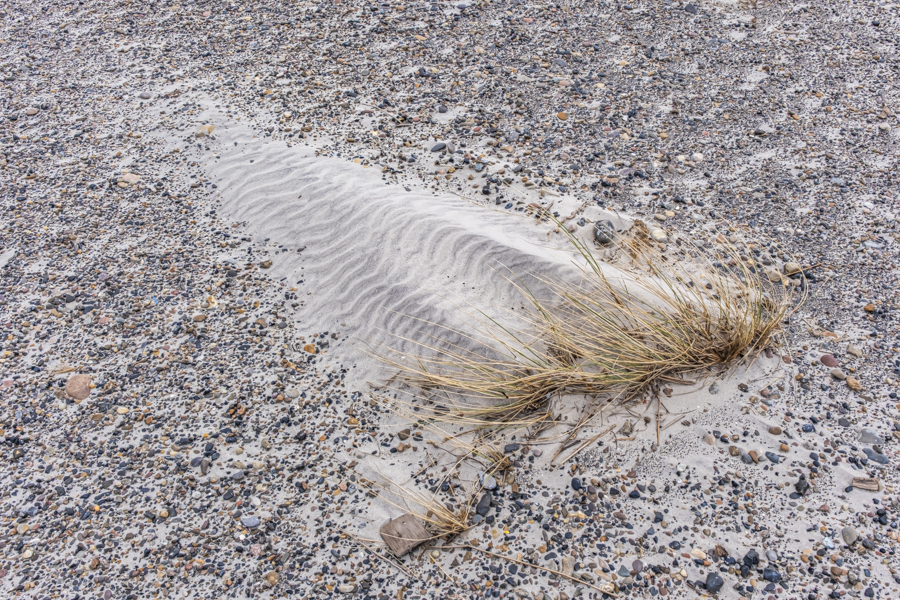 20250304-nord-juetland-105