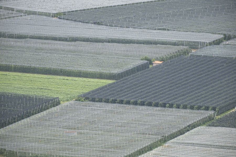 20250705-kalterer-see-16