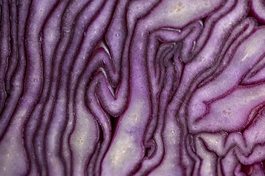 20260223-mietraching-1