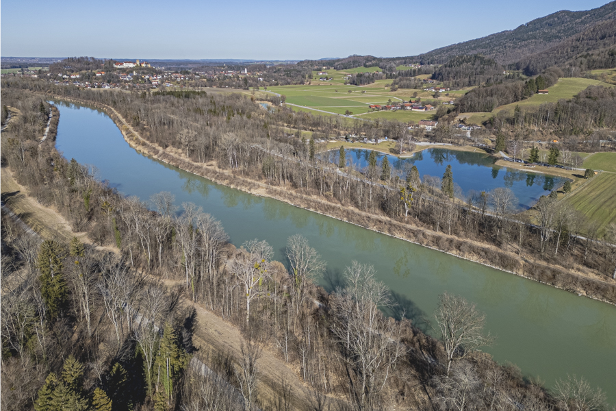 20260227-reischenhart-3