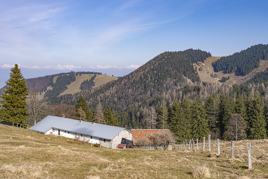 20260304-haindorfer-berg-09