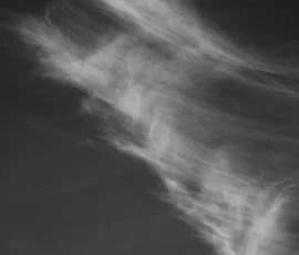Wolken