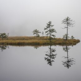 Spiegelungen