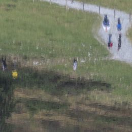 Spiegelungen