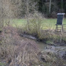 Hochsitze