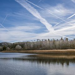 Seehamer See, Oberbayern