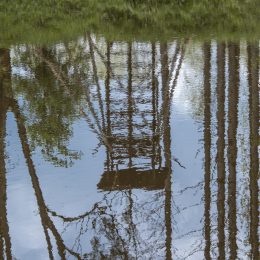 Spiegelungen