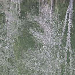 Spiegelungen