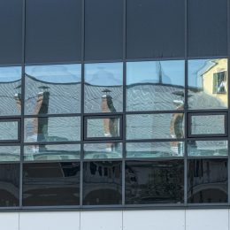 Spiegelungen