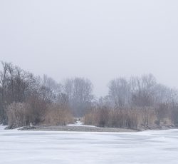 Höglinger Weiher