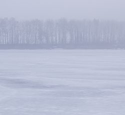 Höglinger Weiher