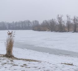 Höglinger Weiher
