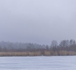 Höglinger Weiher