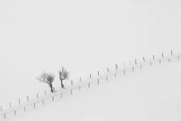 Ausstellung Minimalismus