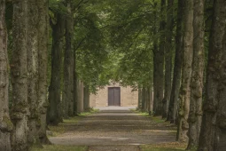 Ausstellung Vergänglichkeit