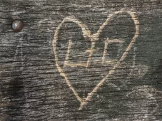 Ausstellung Was bleibt was kommt