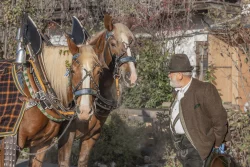 Leonhardifahrt in Hundham