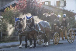 Leonhardifahrt in Hundham