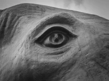 Garten Eden + Triftbach