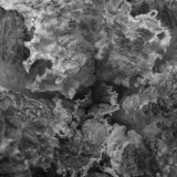 Garten Eden + Triftbach