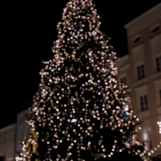 Christkindlmarkt Rosenheim