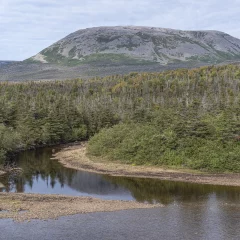 Gros Morne Nationalpark, Kanada