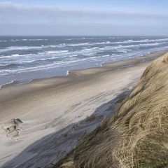 Jütland