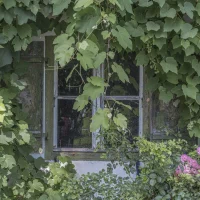 Das Fenster