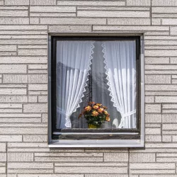 Das Fenster