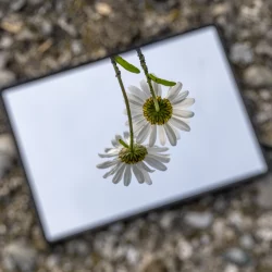 Der kleine Spiegel