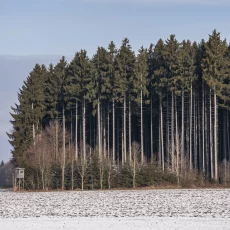 Hochsitze