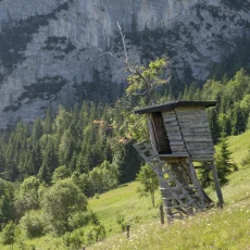 Hochsitze