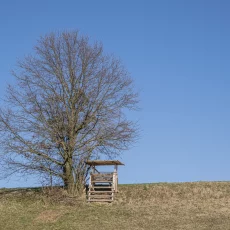 Hochsitze