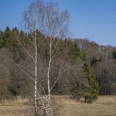 Hochsitze