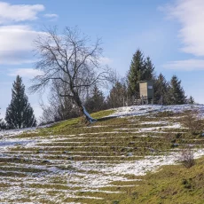 Hochsitze