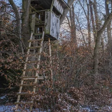 Hochsitze