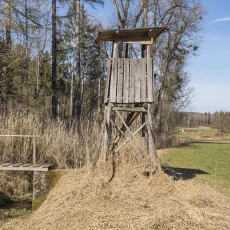 Hochsitze