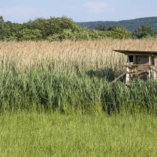 Hochsitze