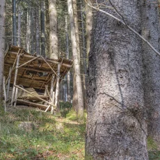 Hochsitze