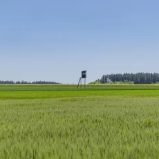 Hochsitze