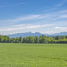Hochsitze