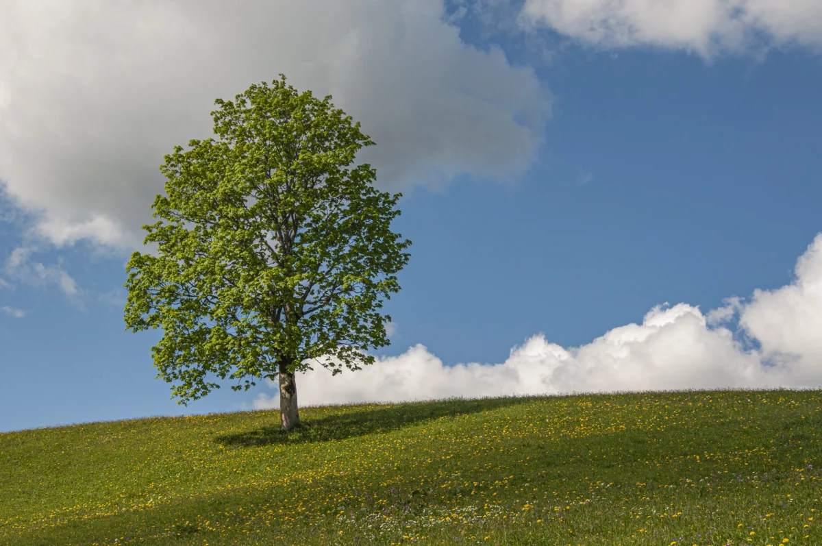 Orientierung in schwierigen Zeiten