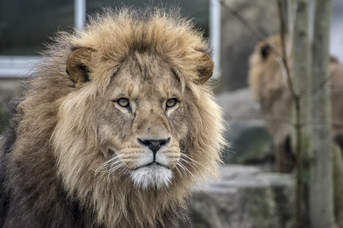 Orientierung in schwierigen Zeiten