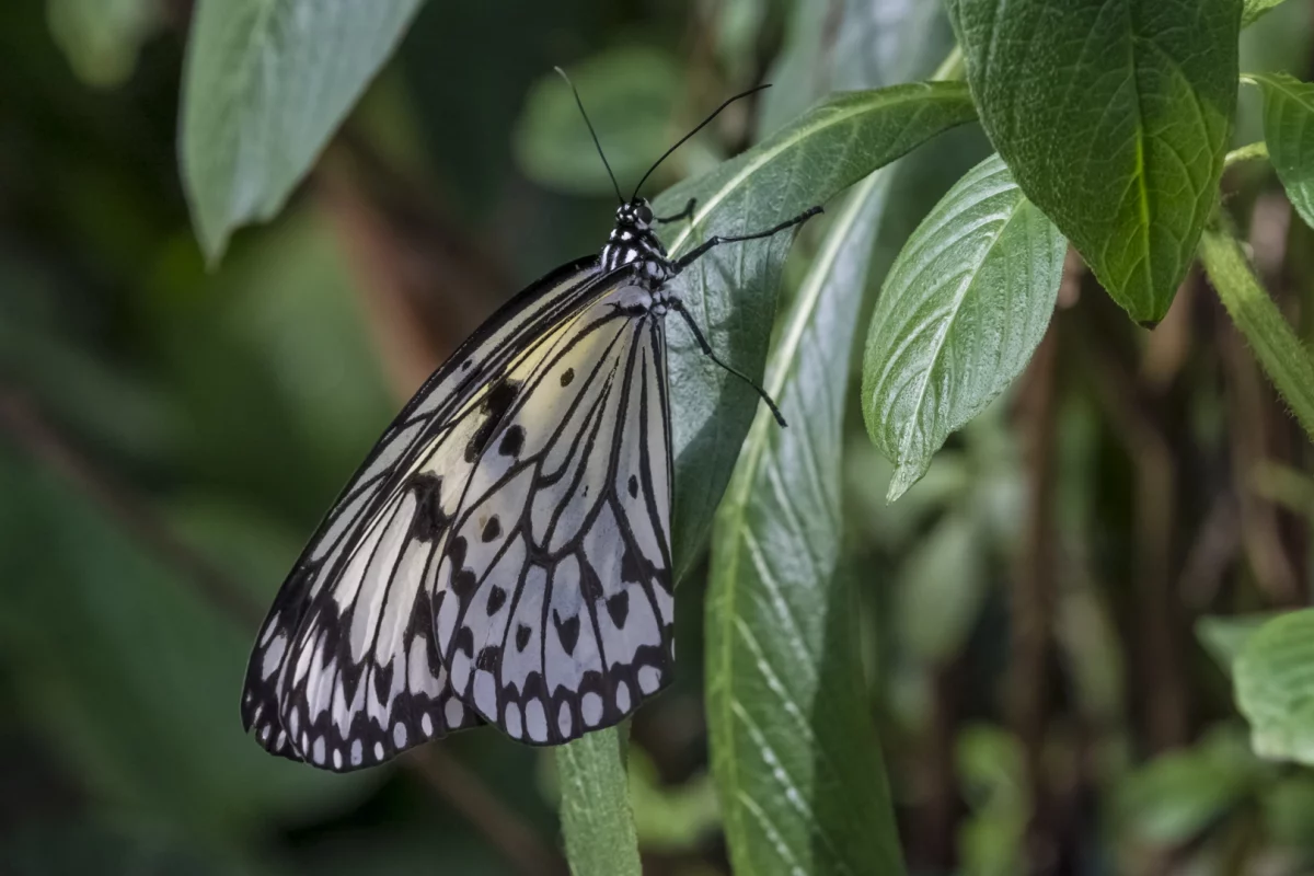 Orientierung in schwierigen Zeiten