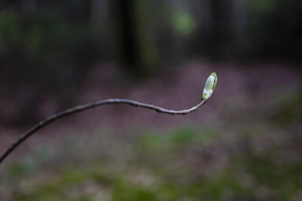 Orientierung in schwierigen Zeiten